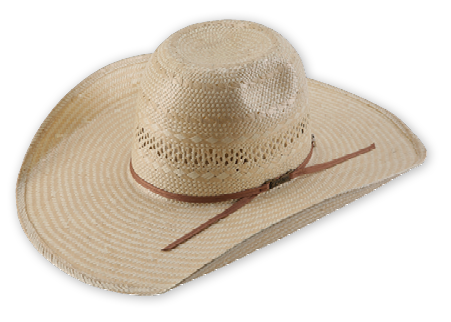 Cowboy Hat Straw Cover – TheFawnDoe